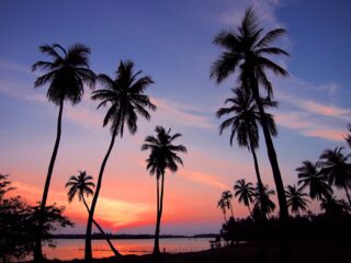 Billig Rejsedestination Sri Lanka - Sri-Lanka-strand-og-solnedgang